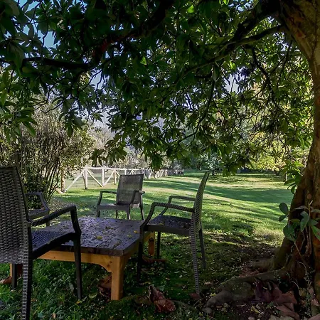 Il Platano Apartment Camaiore